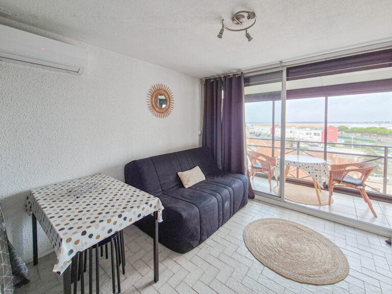 STUDIO CABINE EN PARFAIT ETAT + CELLIER + PISCINE