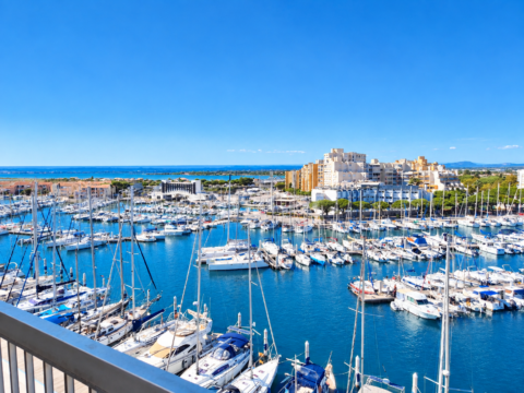 CARNON : T3 vue mer avec garage